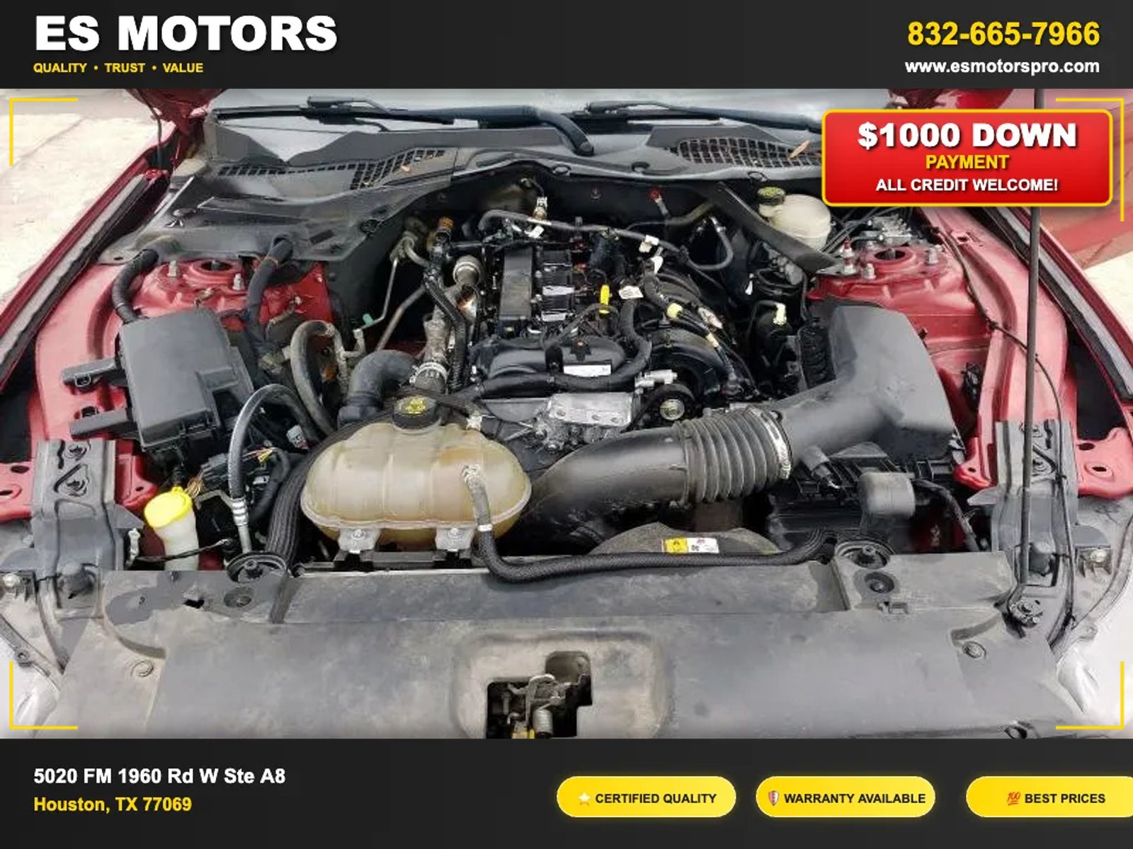 
2016 Ford Mustang EcoBoost Premium Coupe 2D full									